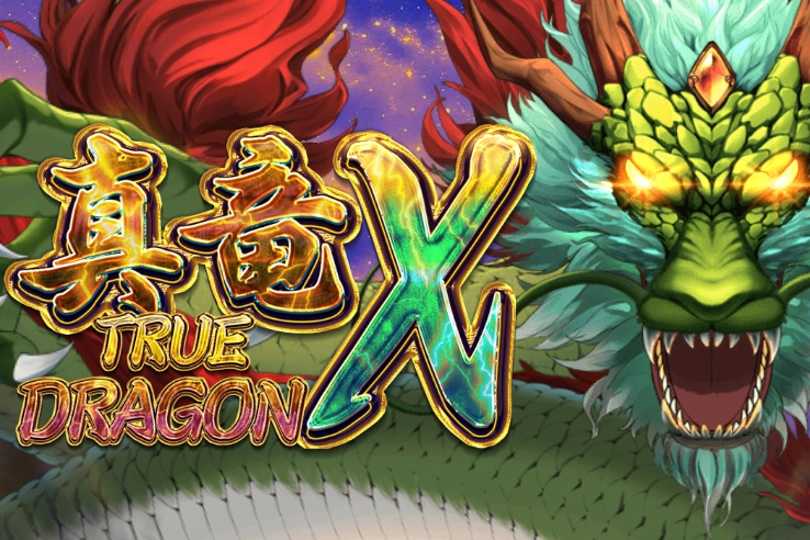 13546 true dragon x